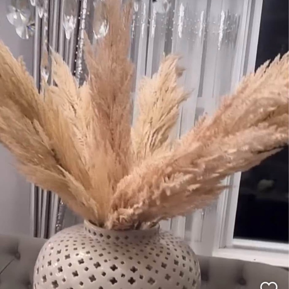 Z Gallerie  Pampas Grass set of 14